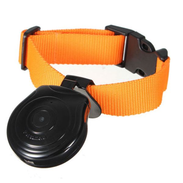 Acheter Moniteur Enregistreur Vidéo Caméra Cam Cam Numérique Caméra Oeil Vue Collier Pour Chien Chiot Chat De 2362 Du Mentytang Dhgatecom