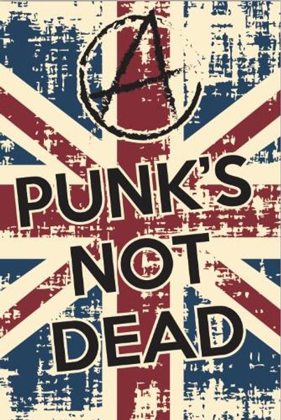 2020 Rock Band Punk S Not Dead Flag Banner 150cm 90cm 3