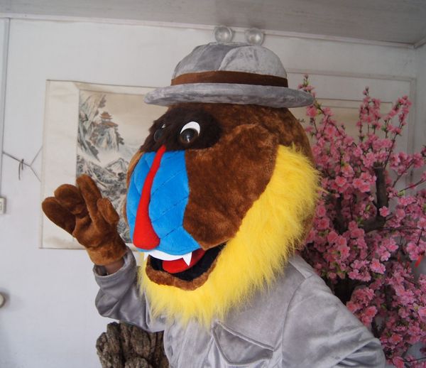 

real pictures deluxe baboon mascot costume size factory direct ing, Red;yellow