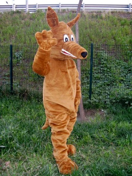 

high-quality real pictures deluxe australian hound dog mascot costume mascot cartoon character costume size ing, Red;yellow