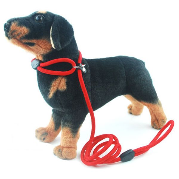 

brand new dog accessories dog leashes with collars function nylon rope leashes integrated traction collars ing