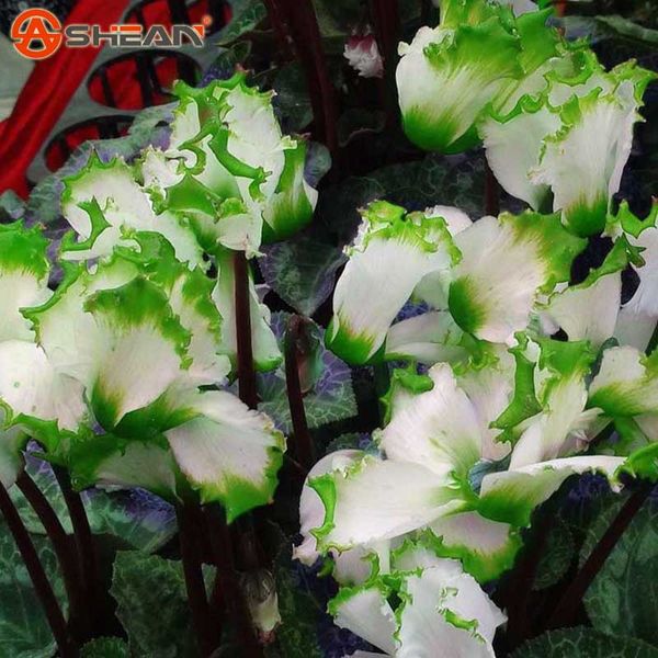 

Outros Acessórios Jardim jonemark2013