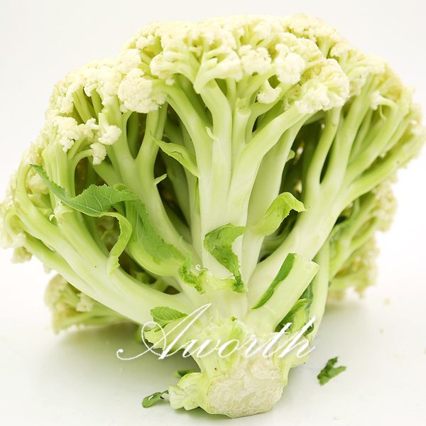 

Cauliflower Vegetable Chinese Special Variety 100 Seeds / Lot Easy to Grow from Seeds Crisp Flavor Heirloom Vegetable
