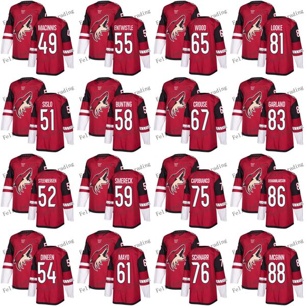 

Arizona Coyotes Ryan MacInnis Scott Allen Mike Sislo Kyle Wood 81 Jens Looke 88 Jamie McGinn Dysin Mayo Cam Dineen 2017-2018 Season Jersey