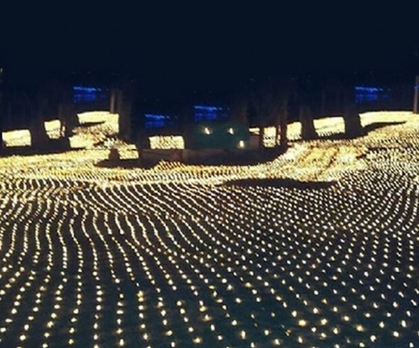 2m * 3m 210 LED String Fairy Light Light Malha Cortina Planta de Jardim de Natal Decoração de Casamento LED Lâmpada 220V UE Plug