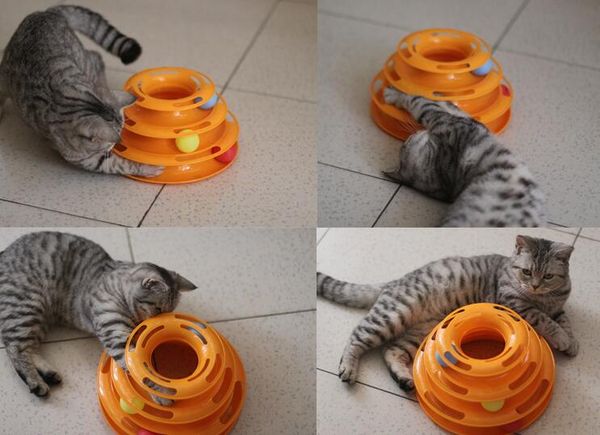 

fashion funny cat pet toy cat toys intelligence triple play disc cat toy balls
