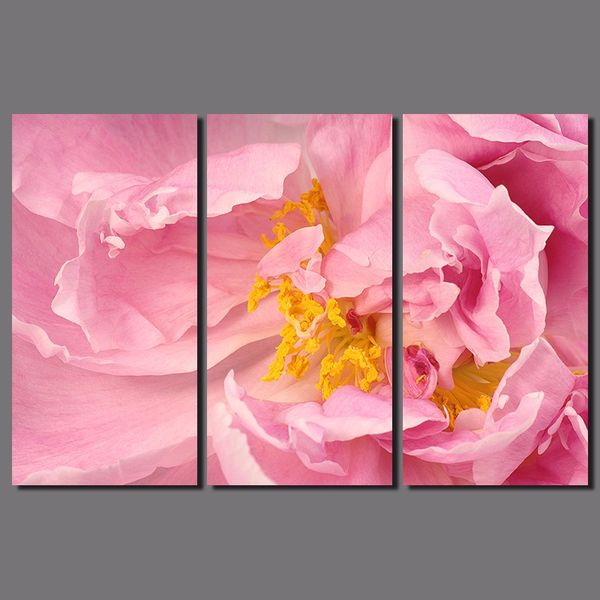 

3pcs/set flowers yellow stamen plant pictures wither and fall pink peony canvas painting wall art living room decor unframed