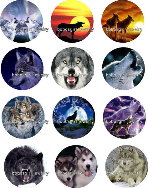 

wolf snap button jewelry charm popper for snap jewelry good quality 12pcs / lot gl272 jewelry making supplier diy, Crystal
