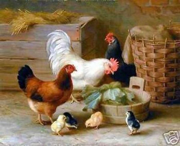 Il gallo e il pollo Pittura a olio di arte dipinta a mano di alta qualità su tela Qualità del museo in più dimensioni scelte