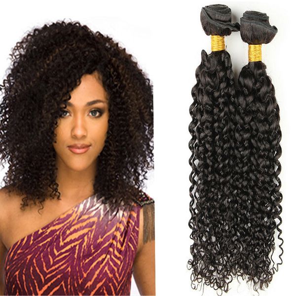 Grade 7a Unprocessed Virgin Brazilian Kinky Curly Human Hair