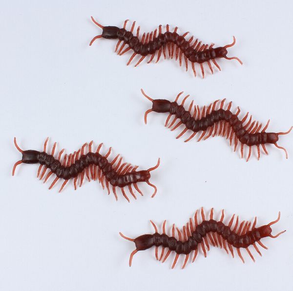 Mille Pattes Dans La Maison Ventana Blog