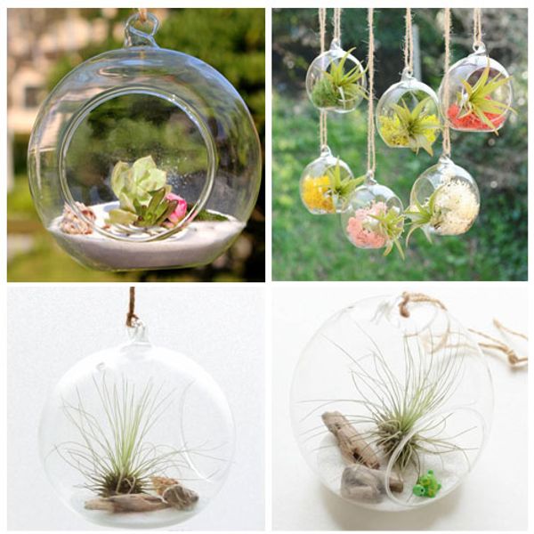 Wholesale Hanging Glass Vase Hanging Glass Vase Flat Bottomed