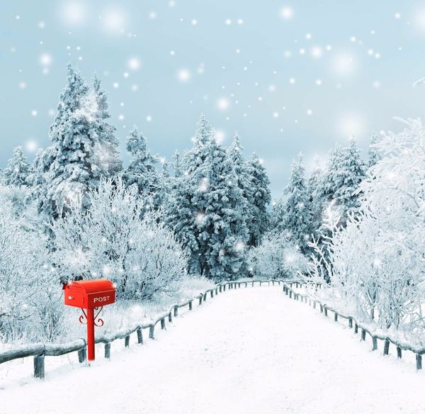 Schneebedeckte Landstraßen-Fotografie-Hintergrund, Vinyl, roter Briefkasten, Winter, malerische Kiefern, Wald, Schneeflocken, Fotostudio-Hintergrund