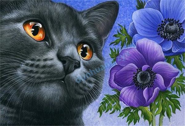 

diy diamond painting cross stitch animal cat 0.74crystal full round drill sets unfinish diamond embroidery mosaic ing