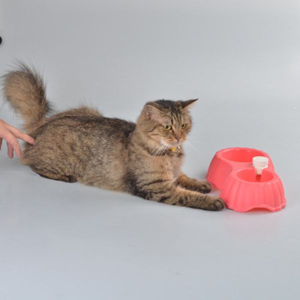 2019 Anti Slip Pp Pet Dog Cat Drinking Water And Food Dual Bowl