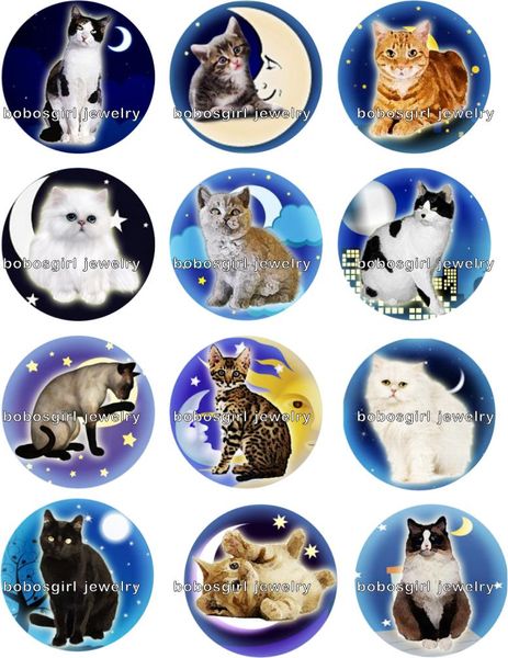 

cat moon snap button jewelry charm popper for snap jewelry good quality 12pcs / lot gl261 jewelry making, Crystal