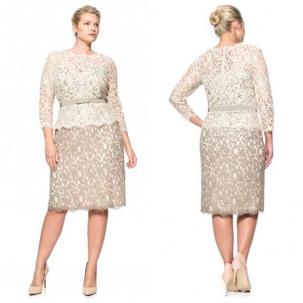 

plus size special occasion dresses full lace bateau long sleeve evening gowns knee length sheath mother of the bride, Black