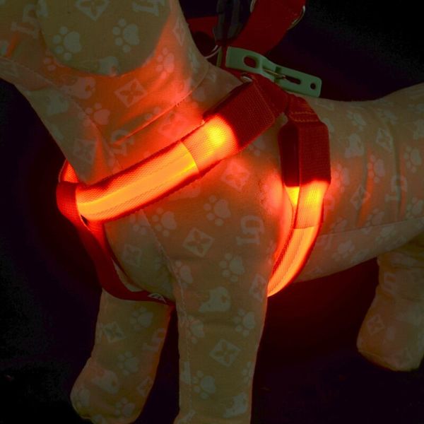 E19 USB wiederaufladbares Haustier-Hundegeschirr, LED-Licht-Haustiergürtel, leuchtendes Hundegeschirr für mittelgroße und große Hunde309F