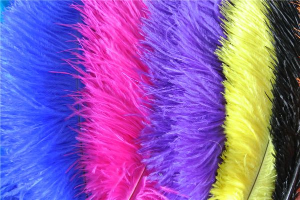 White Black Orange Royal Blue Purple Red Yellow Green Gold Pink