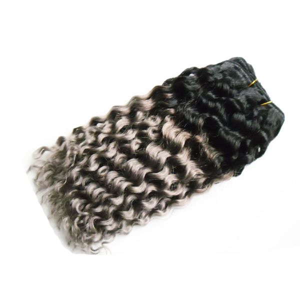 T1B/Grau zweifarbiges brasilianisches Ombre-Haar, tiefe Welle, 100 g graue Haarwebart-Bündel, 1 Stück brasilianische Haarwebart-Bündel