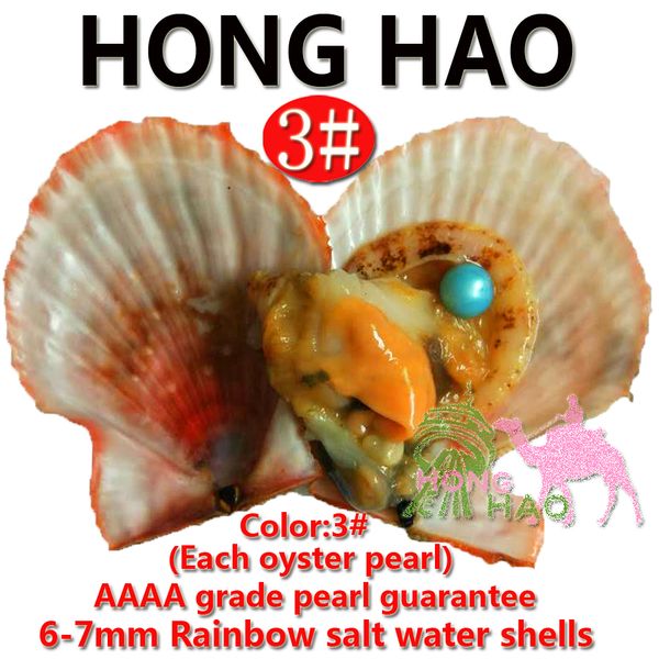 

yiwu factory bulk wholesale 6-7mm blend cool vacuum packaging round natural edison pearls at akoya oyster