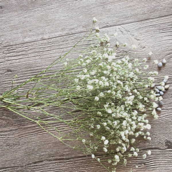 Acheter Souffle De Babys Blanc De Décoration De Mur De Fleur Séchée Pour Des Vacances Et Ornement De Partie 1 Branche De 1699 Du Jillypressflower