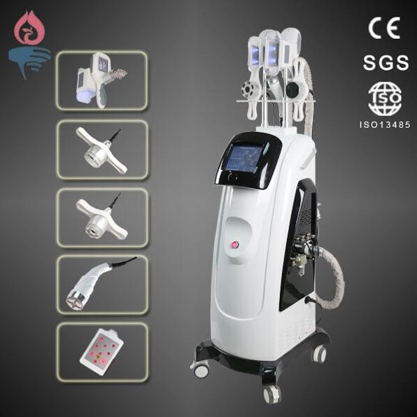 

popular fat ing cryolipolysis cold body sculpting fat e slimming machine