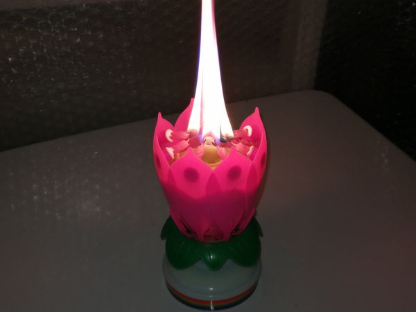 

5 цвет романтический С Днем Рождения музыка играть лотоса свеча магия музыкальная свеча цветок специально для Дня Рождения 100 шт.