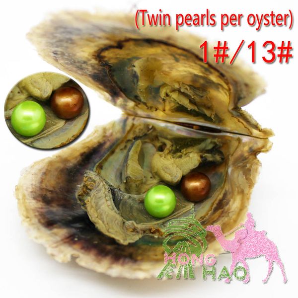

charming female rainbow color 6-7 mm round akoya pearl in oyster twins in a vacuum bag choice at party