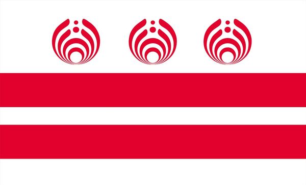 2019 District Of Columbia Bassnectar Flag 3ft By 5ft 100d Polyester