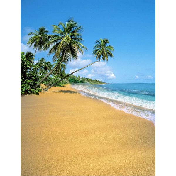 Sommer-Strand-Hochzeits-Foto-Hintergrund, Vinyl, grüne Palmen, blauer Himmel, Meer, Wasser, Urlaub, Sommer, malerische Fotografie-Hintergründe