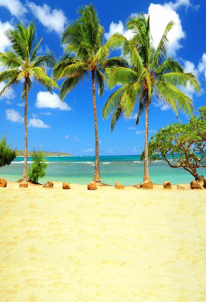 Sfondo di studio fotografico a tema spiaggia con palme, pavimento sabbioso, cielo blu, acqua di mare, estate, natura, fondali per cabine fotografiche