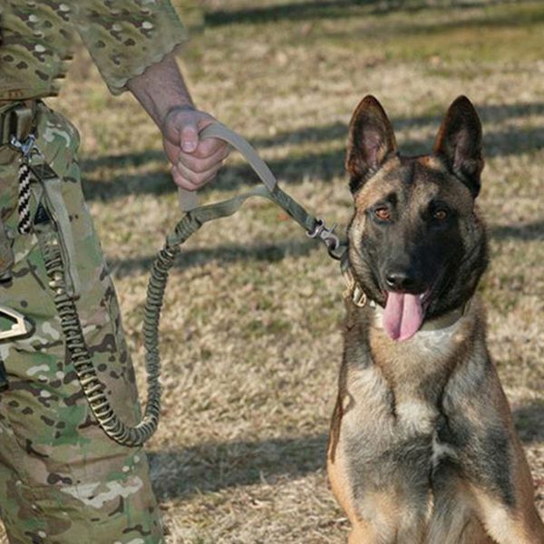 

Армия США Тактический Поводок Собаки Водонепроницаемый Quick Release Сверхмощный Пани