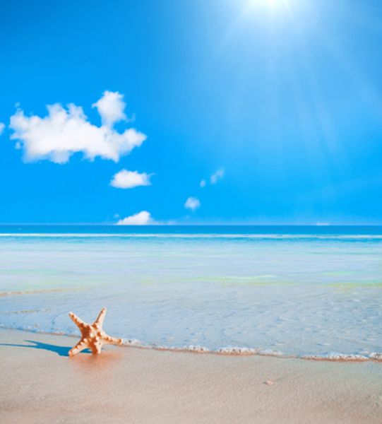 Sfondo di matrimonio sulla spiaggia Puntelli per studio fotografico Stelle marine Cielo blu Nuvole bianche Onde del mare Fondali fotografici per le vacanze estive