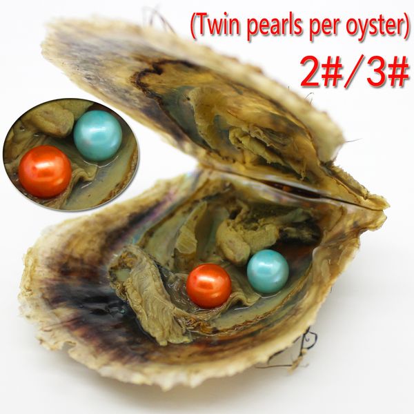 Atacado 30 peças 2 # e 3 # cores Akoya seawater gêmeos pérola ostras 6-7mm4A rodada embalagem a vácuo pérola frete grátis