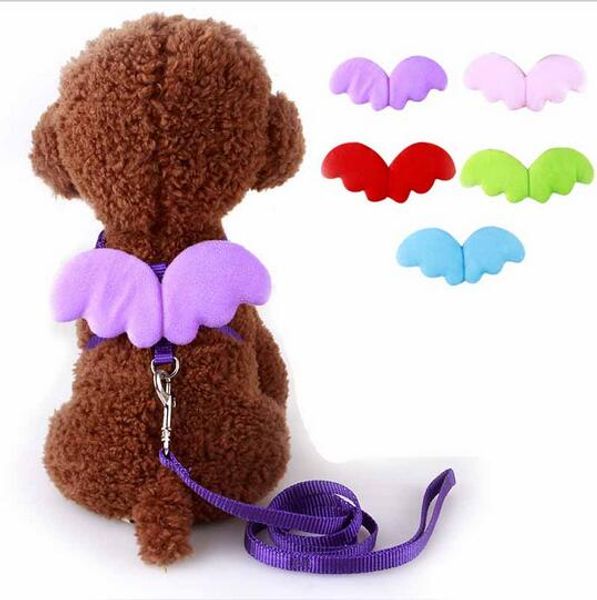 Conjunto de trelas e coleiras para cachorros de estimação Anjos fofos para cães pequenos gatos Asa de designer ajustável Arnês para cães Acessórios para animais de estimação HJIA1104