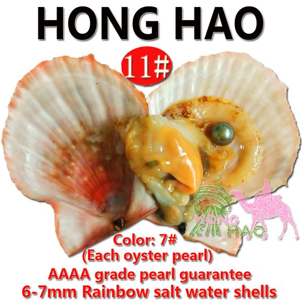 

1pcs11 salt water shell freshwater pearl separate vacuum packaging oyster and large round aaaa6-7mm pearl birthday gift student experiment
