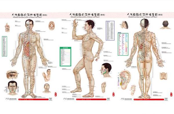 Acupuncture Wall Chart