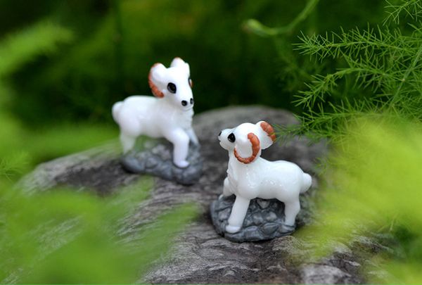 30pcs MOQ Alta qualità bella mini artigianato bianco capra fata in miniatura colore come immagine giardino di DIY paesaggio animali decorativi domestici Uso