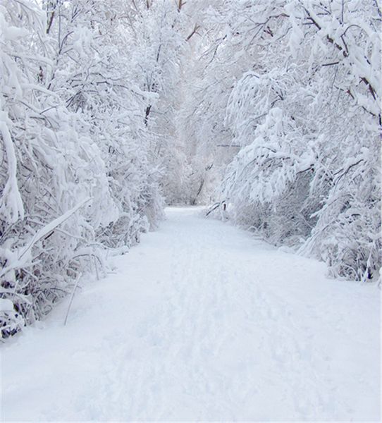 8x10ft Winter-Schnee-Fotografie-Hintergründe, weiße Straße, Outdoor-Wald, malerische Weihnachtsferien-Hintergründe für Fotostudio