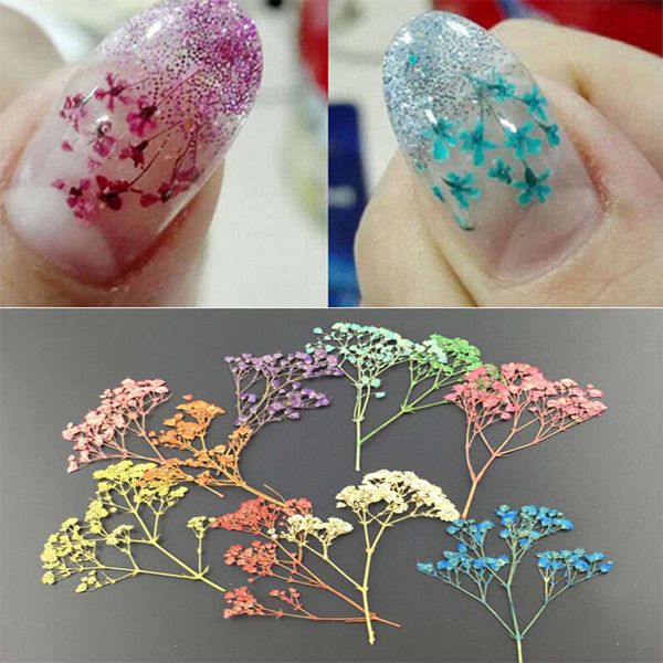 

12pcs/bag dried flower nail art real dry flowers nail art sticker 3d diy decorations tips for nail art different colors, Silver;gold
