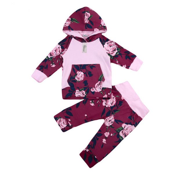 Bebê recém-nascido Menina Roupas Set Primavera Outono Dos Desenhos Animados Flor Com Capuz T-Shirt + Calças Florais 2 Pcs Impressão Roxa Crianças Meninas Roupas Conjuntos