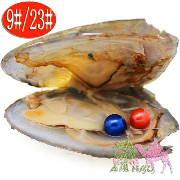 

30pc freshwater cultured love wish pearl oyster with pearl inside 28 colors (round shape) (6-7mm). harvest your own pearl - great gift