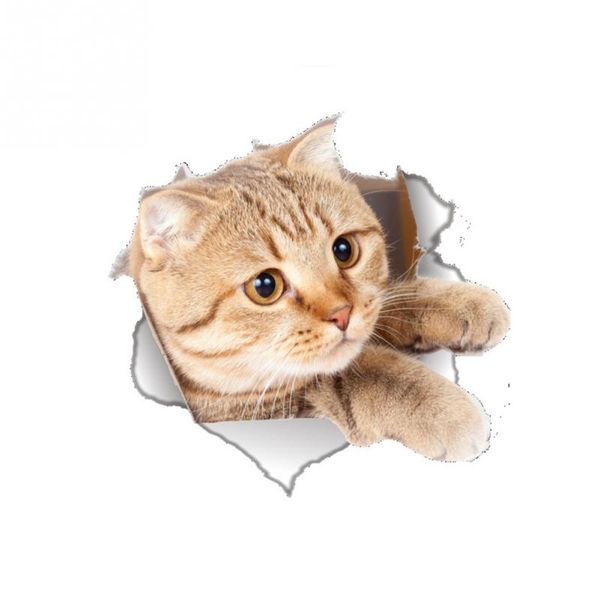 

3d hole view vivid dogs cats wall stickers toilet bathroom stickers room decoration anim3d hole view vivid dogs cal vinyl decals art sticker