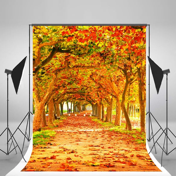 2019 5x7ft150x210cmautumn Photography Background Fall Leaves