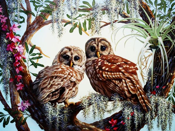 

a1411 diamond embroidery home decor 3diy owl 100% resin tool dril painting cross stitch fashion mosaic needlework