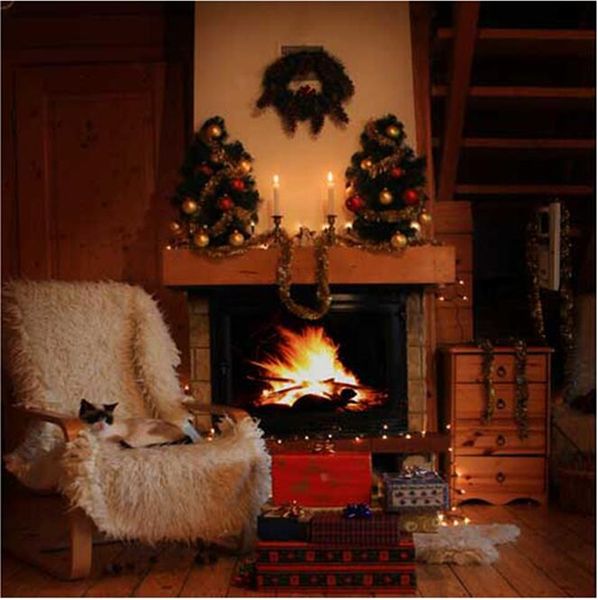 Casa al coperto Camino Ghirlanda Fotografia di Natale Fondali Tessuto in vinile Gatto sulla sedia Scatole regalo Sfondo fotografico per le vacanze Pavimento in legno