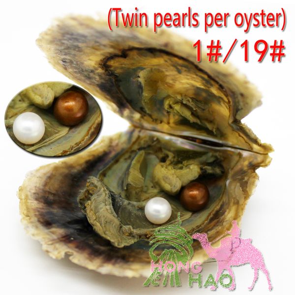 

pearl supermarkets selling twins oysters with round 4a6-7 mm pearl oyster single vacuum packaging party gift