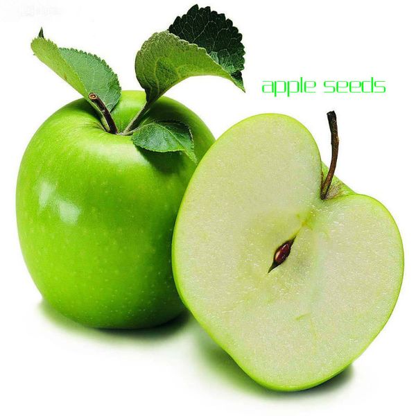 

30 / шт гиганты, зеленые яблони, семена, сладкие семена яблок, семена тропических фр