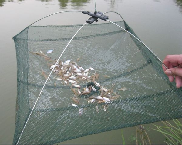 

q0205 60*60cm Fishing Nets Foldable Mesh Baits Trap Cast Dip Net Crab Shrimp Smelt Eel Crab Lobster Minnows Shrimp Crawfish Net